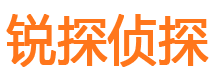 惠山市私人调查